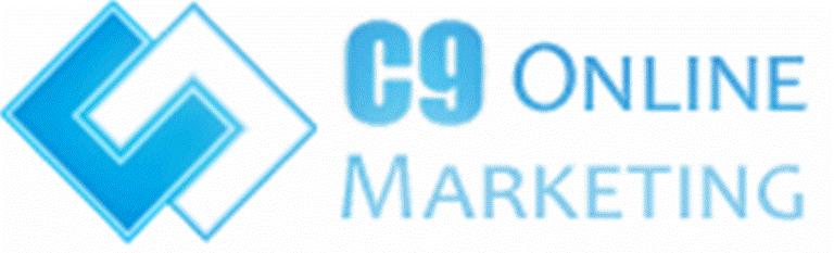 Seo company in delhi